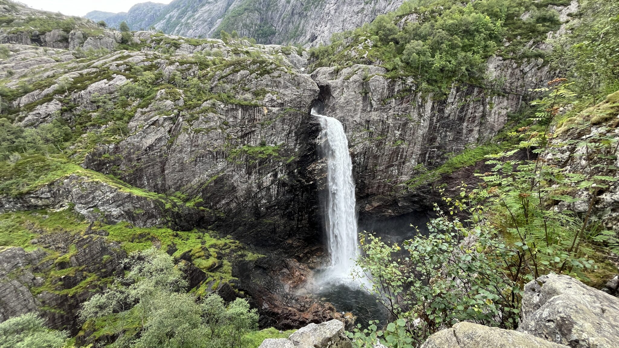 Img 7304